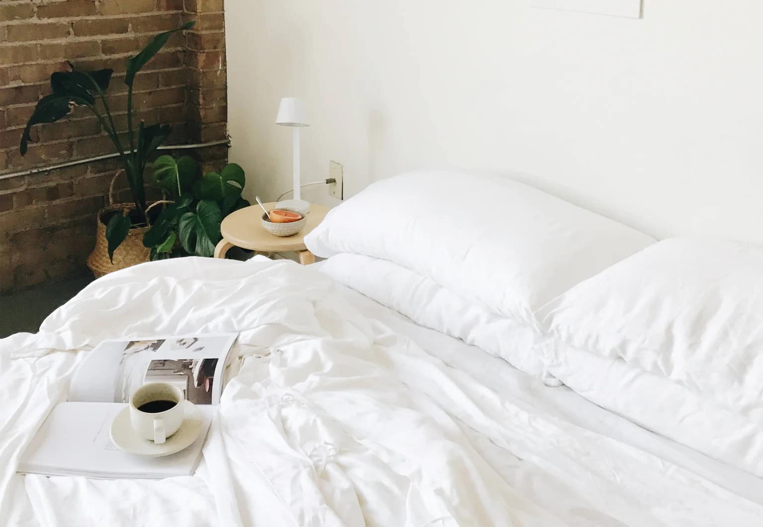 cozy earth silk pillow